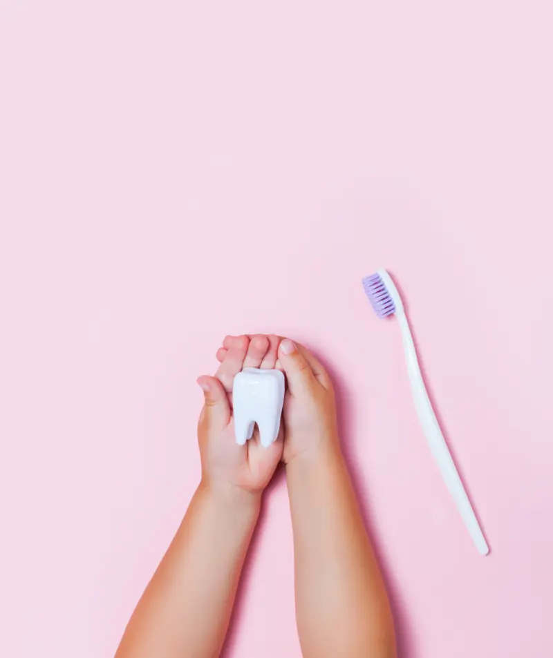 Manos sosteniendo un diente de juguete junto a un cepillo de dientes sobre fondo rosa